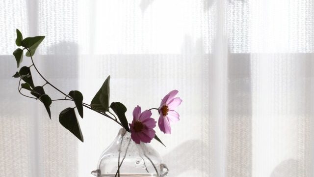 窓辺に花