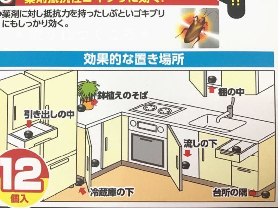 ぜいたく ブラック キャップ 呼び寄せる 画像ブログ