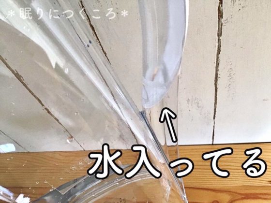 洗うと穴から持ち手部分に水が入ってしまうブリタの浄水ポットマレーラCOOL