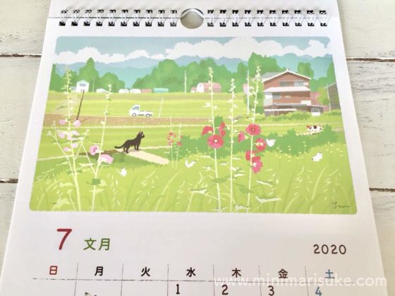 もりとしのりたびねこカレンダー2020年7月『初夏の光』