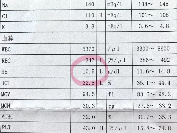 子宮筋腫核出術後2週間後の血液検査
