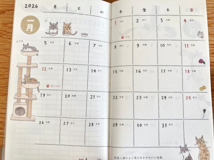 2026年版ミドリのポケットダイアリースリム猫柄マンスリーページ１月