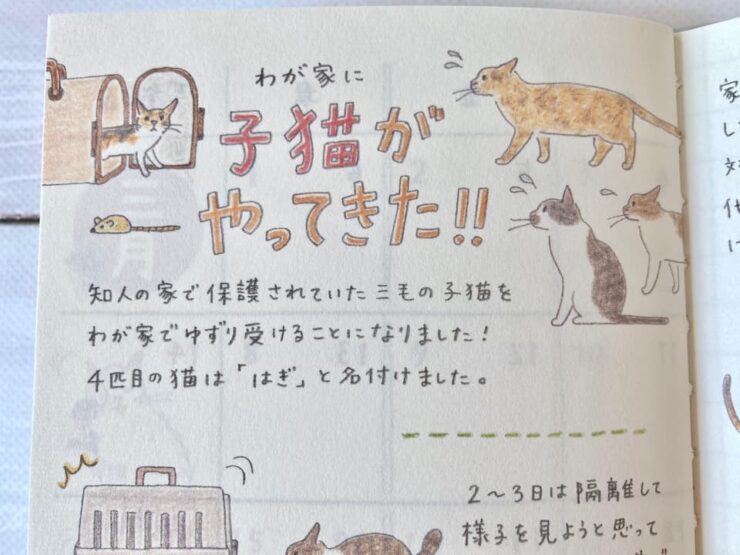 2026年版ミドリのポケットダイアリースリム猫柄巻末のコラム「わが家に子猫がやってきた!!」