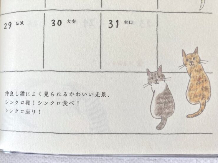 2026年版ミドリのポケットダイアリースリム猫柄マンスリーページのイラスト付きコラム